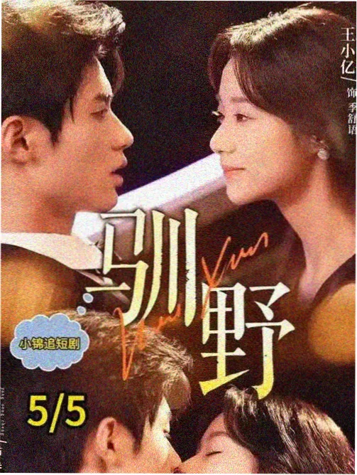 旧城手记 韩国经典剧集海报